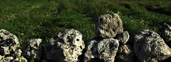 stagioni salento masseria copertini