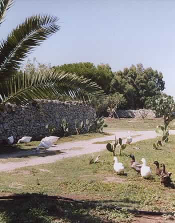 agriturismo pulia